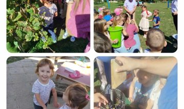 Projektni dan u vrtiću: “Branje grojzdja” 🍇