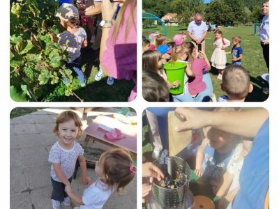 Projektni dan u vrtiću: “Branje grojzdja” 🍇
